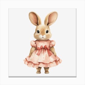 Rabbit In A Pink Dress Canvas Print