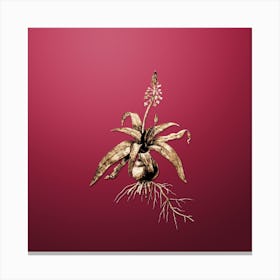 Gold Botanical Lachenalia Lanceaefolia on Viva Magenta Canvas Print