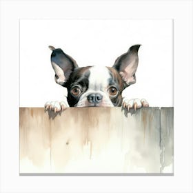 Boston Terrier 2 Canvas Print