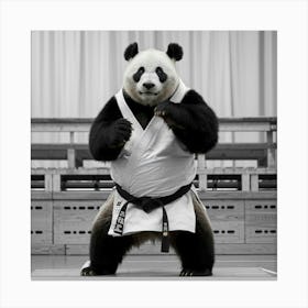 A Medium Shot Of A Panda Bear Practicing Cjistx7xrz Y0dh Bmnga Mdjzy72lq5c2xhjmhrrceg Leinwandbild