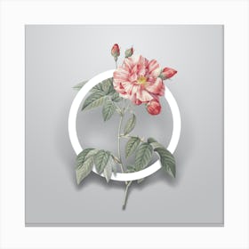 Vintage Variegated French Rose Minimalist Flower Geometric Circle on Soft Gray n.0316 Canvas Print