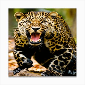 Jaguar Roaring Canvas Print