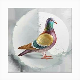 Pigeon 1 Canvas Print