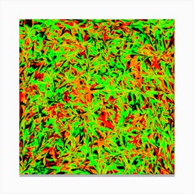 Red And Green Pattern On A Black Background Canvas Print