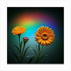 Rainbow Flowers 1 Canvas Print