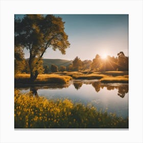 Sunset In A Field 1 Canvas Print