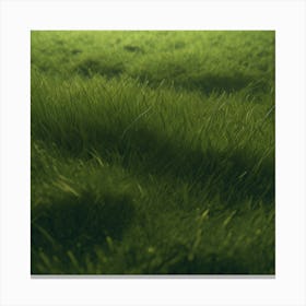 Grassy Field 3 Canvas Print