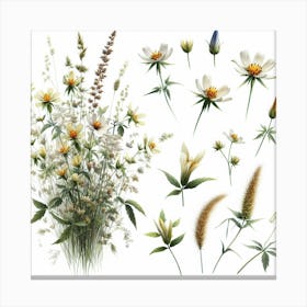 Flower of Cow-wheat 2 Canvas Print