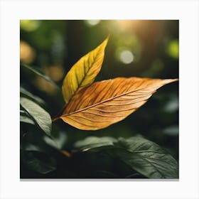 Autumn Leaves In The Forest Canvas Print