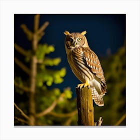 Owl Perched On A Post Canvas Print