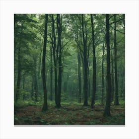 Forest In The Mist Canvas Print