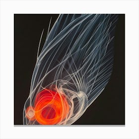 Fish'S Eye Canvas Print