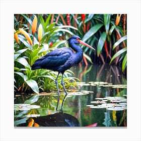 Black Heron In A Pond Canvas Print