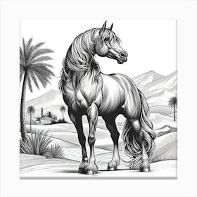 Line Art Arabian stallion 1 Canvas Print