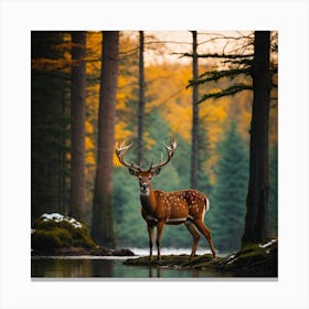 Deer In The Forest Canvas Print