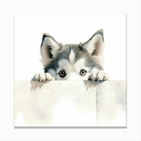 Siberian Husky Canvas Print