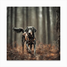 Dog In The Woods 2 Canvas Print