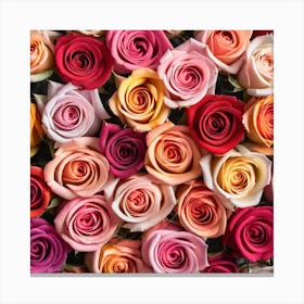 Colorful Roses Background 26 Canvas Print