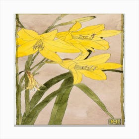 Yellow Lilies 1 Canvas Print