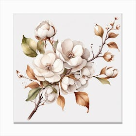 Cotton Flower branch 3 Canvas Print