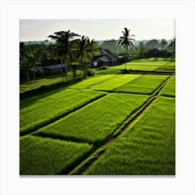 Grow Plant Green Background Field Aerial Landscape Pattern Agriculture Grass Harvesting C (7) Canvas Print