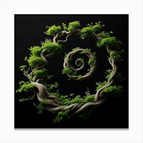 Spiraling Tree of Life with Roots and Branches in a Circle, Demonstrating the Interconnectedness of All Living Things and the Circle of Life Canvas Print