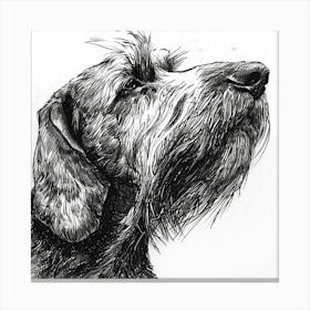 Grand Basset Griffon Vendeen Dog Line Sketch 2 Canvas Print