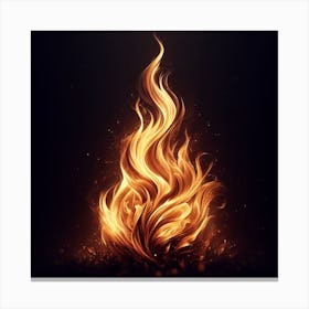 Fire Flame On Black Background Canvas Print
