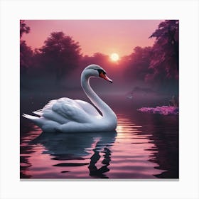 Wild swan swimming on the lake at sunset Canvas Print