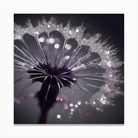 Frosted Dandelion in Black and White Canvas Print