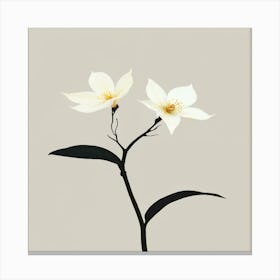 Two White Flowers Canvas Print