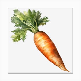 Carrot Isolated On Black Canvas Print