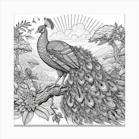 Line Art peacock 1 Canvas Print