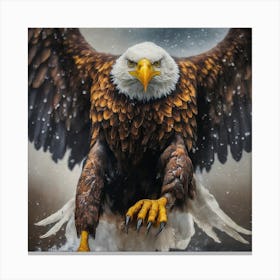 Bald Eagle 6 Canvas Print