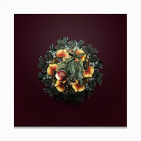 Vintage Peach Fruit Wreath on Wine Red n.2095 Canvas Print