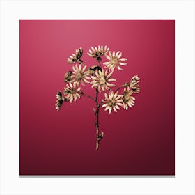 Gold Botanical Lilac Senecio Flower on Viva Magenta n.3432 Canvas Print