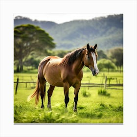 Grass Graze Equestrian Pasture Horse Rural Farm Mare Nature Field Mammal Ranch Pet Graz Canvas Print