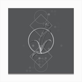 Vintage Spring Garlic Botanical with Line Motif and Dot Pattern in Ghost Gray Canvas Print