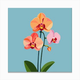 Orchids On Blue Background Canvas Print