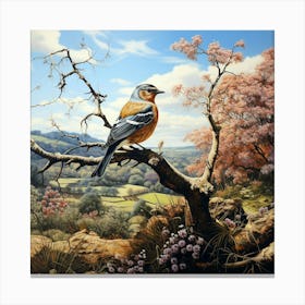 Chaffinch On Blossoming Tree 1 Canvas Print