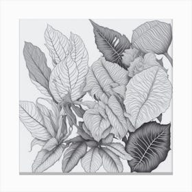 Leaves In Black And White luck Canvas Print