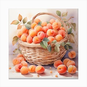 A basket of apricots 1 Canvas Print