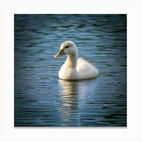 Duck In The Water 1 Canvas Print