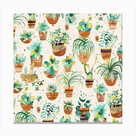 Home Succulent Plant Pots White Square Canvas Print