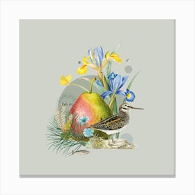 Flora & Fauna with Jacksnipe 1 Canvas Print