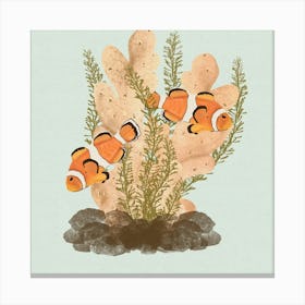 Clownfish Canvas Print