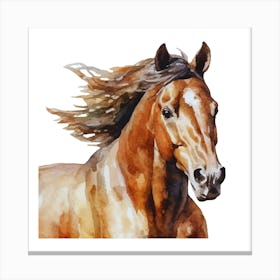 Horse Watercolor Painting.uk Canvas Print