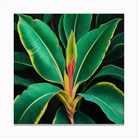 'Banana Leaf' 1 Canvas Print