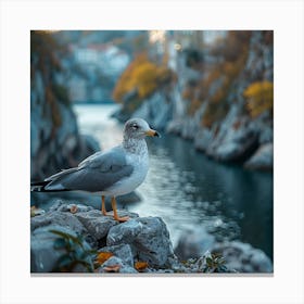 Seagull In Autumn Canvas Print