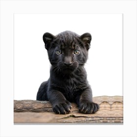 Black Panther Cub Canvas Print